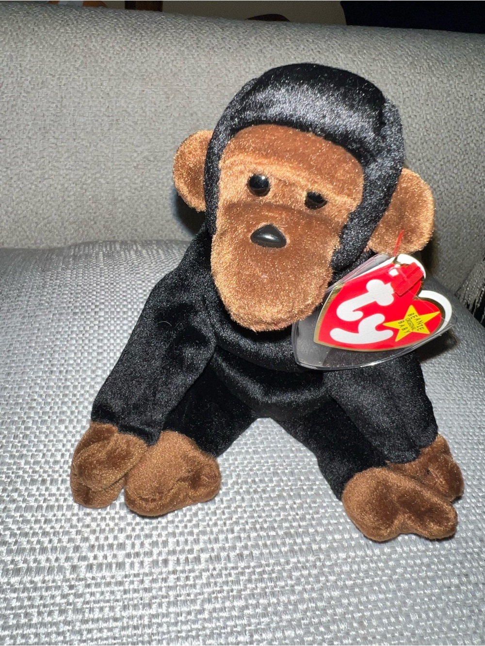 TY Beanie Baby Plush Monkey - Black and Brown”Congo “